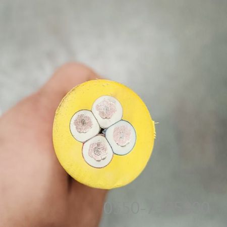 海博论坛·hibet(中国)官方网站