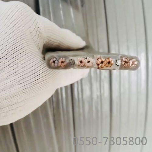 ������̳��hibet(�й�)�ٷ���վ