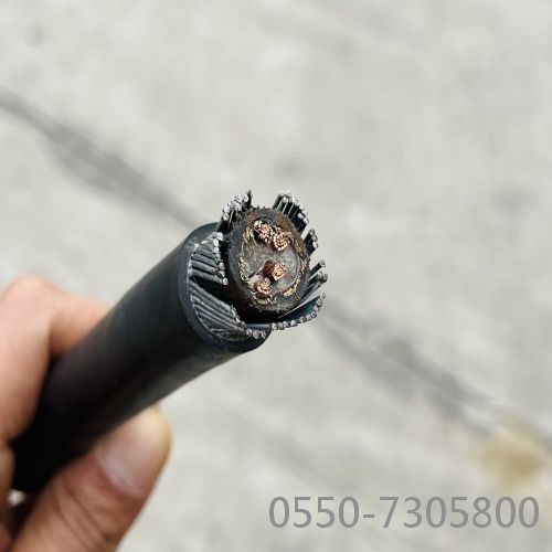 海博论坛·hibet(中国)官方网站