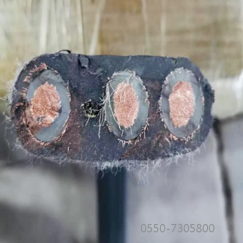 海博论坛·hibet(中国)官方网站