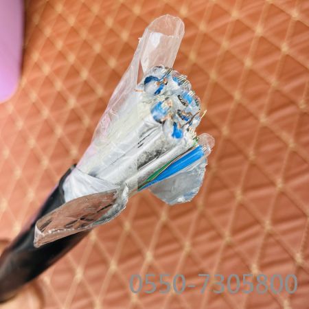 海博论坛·hibet(中国)官方网站