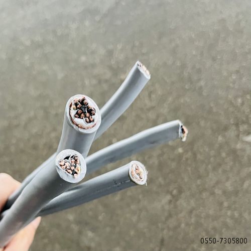 ������̳��hibet(�й�)�ٷ���վ