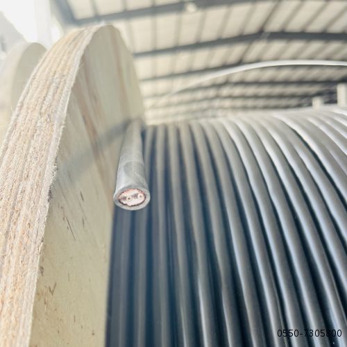 海博论坛·hibet(中国)官方网站