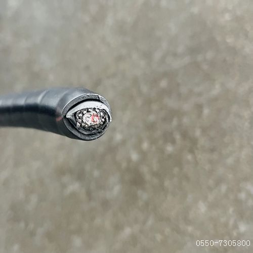 海博论坛·hibet(中国)官方网站