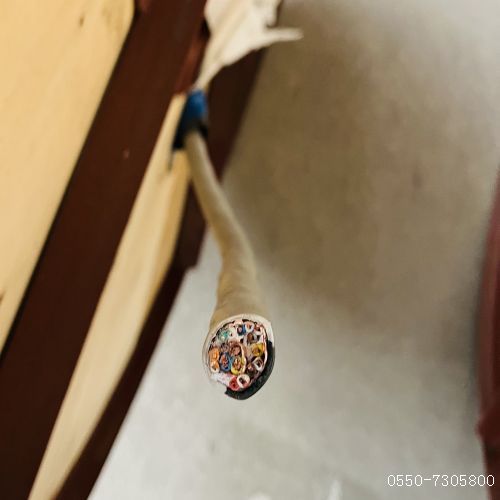 ������̳��hibet(�й�)�ٷ���վ