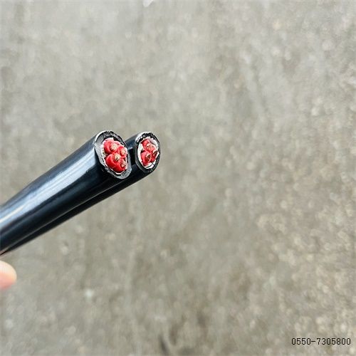 ������̳��hibet(�й�)�ٷ���վ