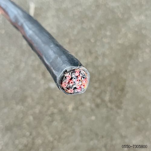 ������̳��hibet(�й�)�ٷ���վ