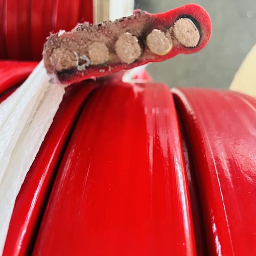 海博论坛·hibet(中国)官方网站