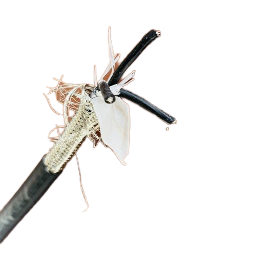 海博论坛·hibet(中国)官方网站