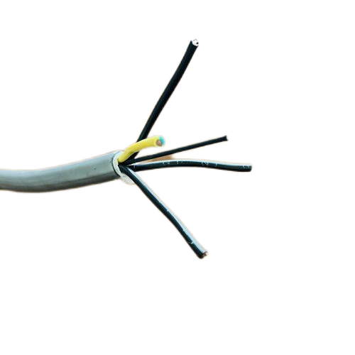 海博论坛·hibet(中国)官方网站