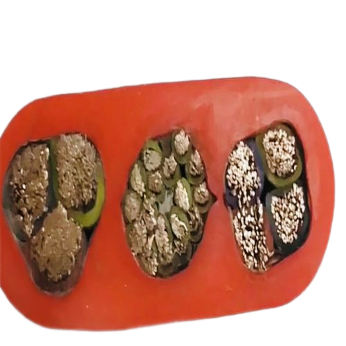 海博论坛·hibet(中国)官方网站