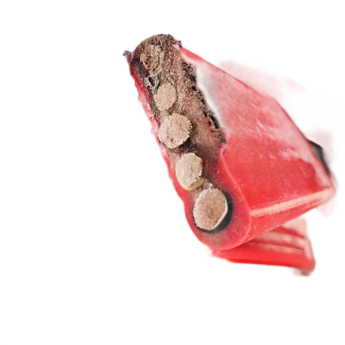 ������̳��hibet(�й�)�ٷ���վ