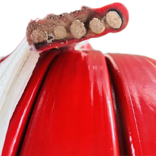 海博论坛·hibet(中国)官方网站