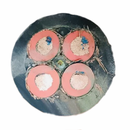 海博论坛·hibet(中国)官方网站