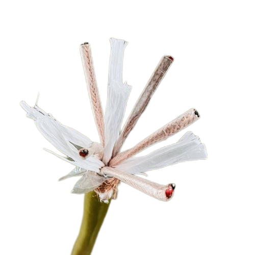 海博论坛·hibet(中国)官方网站