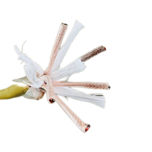 海博论坛·hibet(中国)官方网站