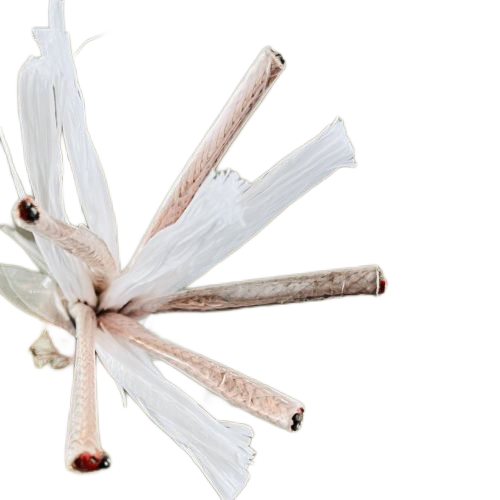 海博论坛·hibet(中国)官方网站