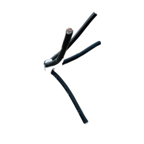 海博论坛·hibet(中国)官方网站