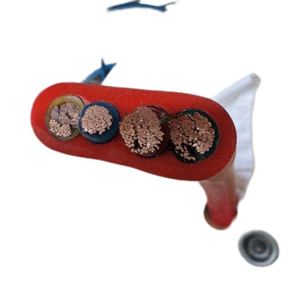 海博论坛·hibet(中国)官方网站