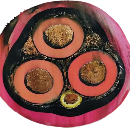 海博论坛·hibet(中国)官方网站