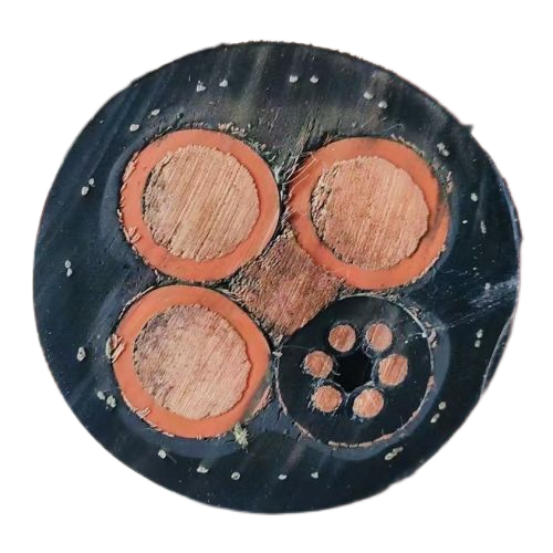 ������̳��hibet(�й�)�ٷ���վ