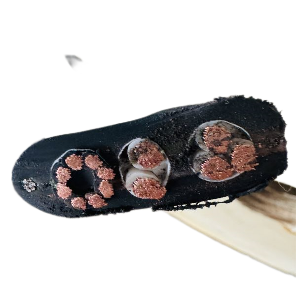 海博论坛·hibet(中国)官方网站