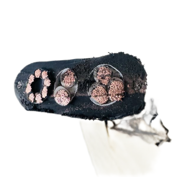 海博论坛·hibet(中国)官方网站