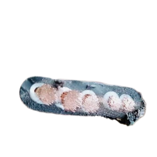 海博论坛·hibet(中国)官方网站