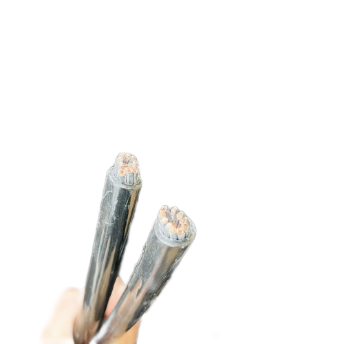 海博论坛·hibet(中国)官方网站