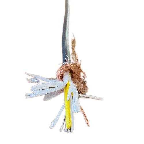 海博论坛·hibet(中国)官方网站