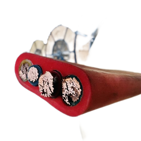 海博论坛·hibet(中国)官方网站