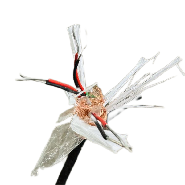 海博论坛·hibet(中国)官方网站