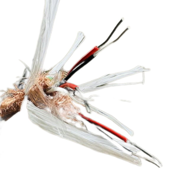 海博论坛·hibet(中国)官方网站