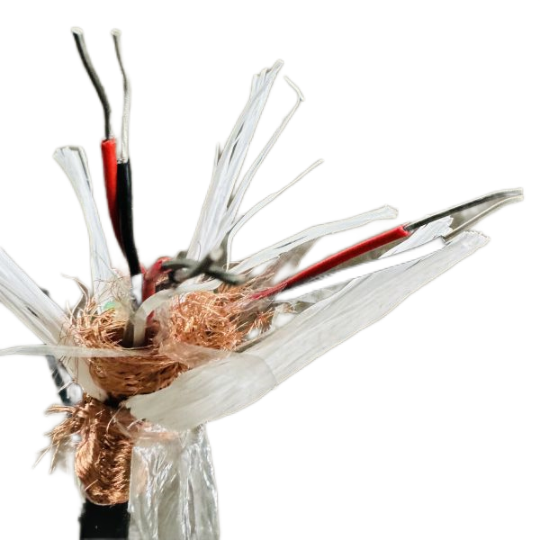 海博论坛·hibet(中国)官方网站