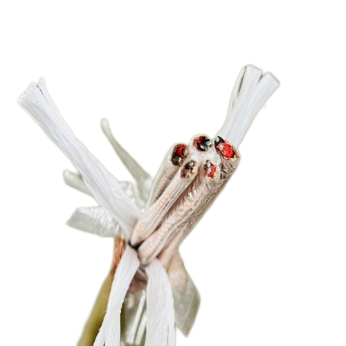 ������̳��hibet(�й�)�ٷ���վ