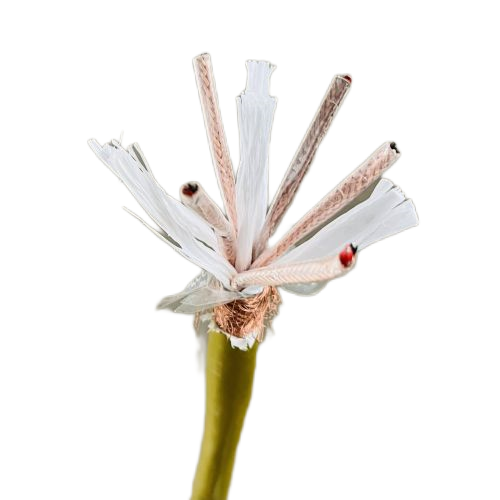 ������̳��hibet(�й�)�ٷ���վ