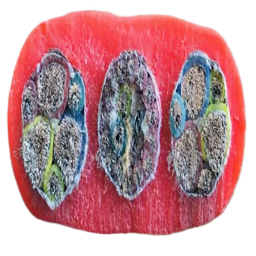 ������̳��hibet(�й�)�ٷ���վ