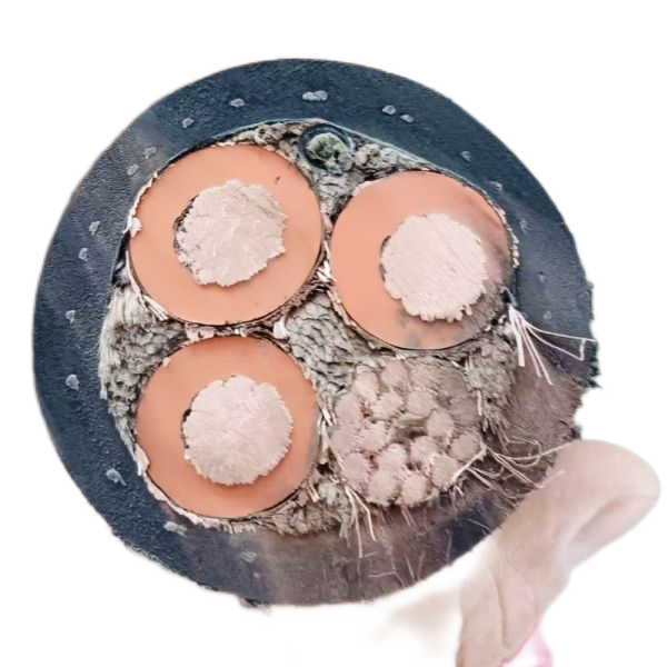 ������̳��hibet(�й�)�ٷ���վ