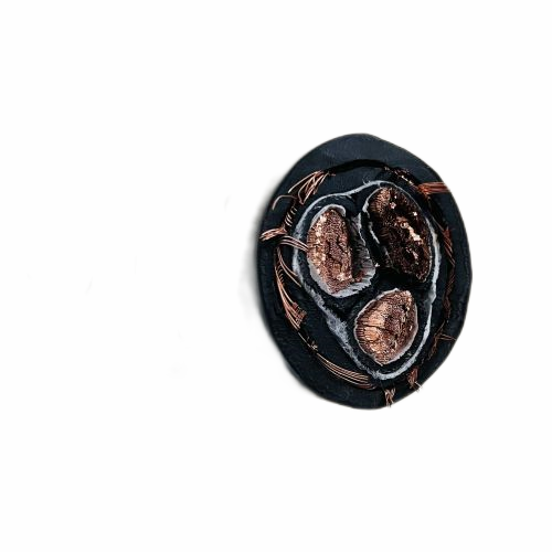 ������̳��hibet(�й�)�ٷ���վ