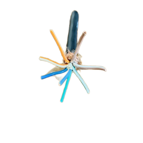 ������̳��hibet(�й�)�ٷ���վ