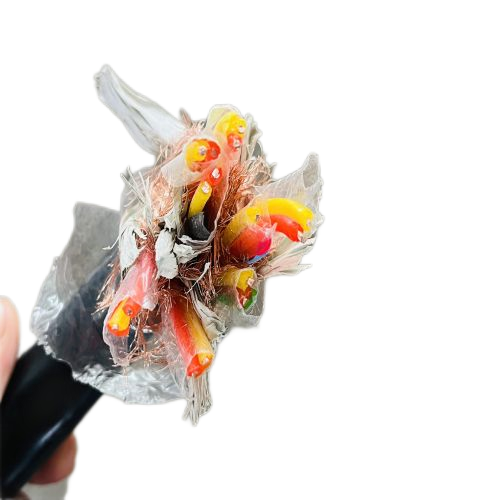 ������̳��hibet(�й�)�ٷ���վ