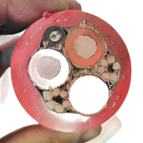 海博论坛·hibet(中国)官方网站