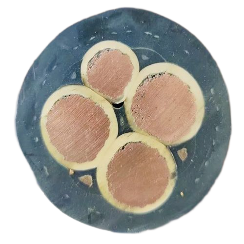 海博论坛·hibet(中国)官方网站