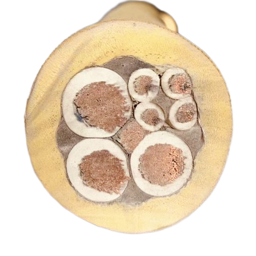 ������̳��hibet(�й�)�ٷ���վ