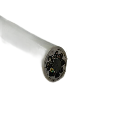 海博论坛·hibet(中国)官方网站