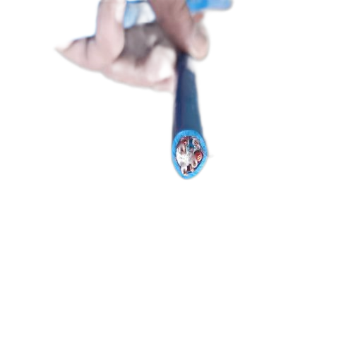 海博论坛·hibet(中国)官方网站