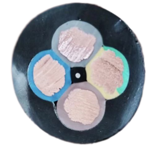 海博论坛·hibet(中国)官方网站