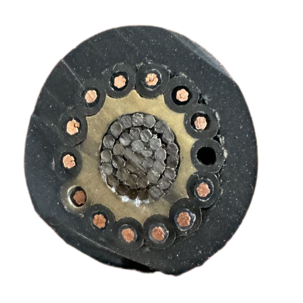 海博论坛·hibet(中国)官方网站