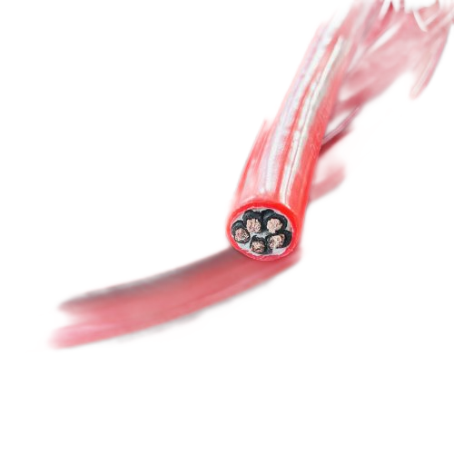 ������̳��hibet(�й�)�ٷ���վ