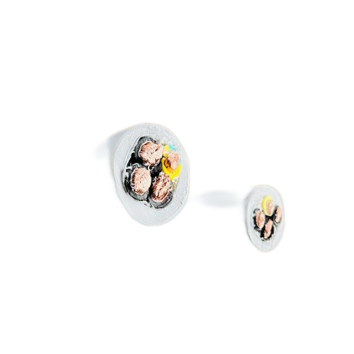 ������̳��hibet(�й�)�ٷ���վ